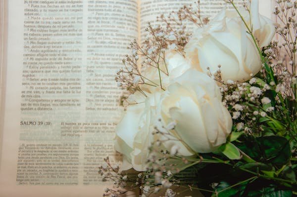 Explore and enjoy: read korean chinese novels online